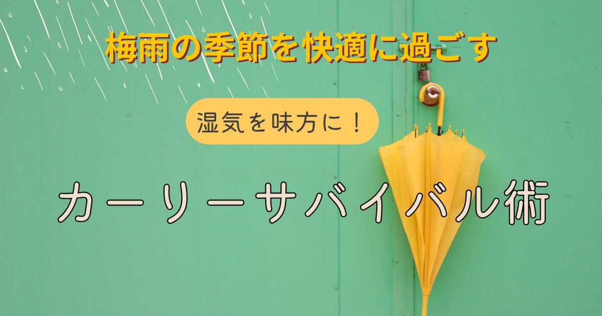 カーリーガールメソッド　　梅雨に使えるジェル、ムース